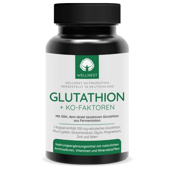 Wellnest Glutathion plus Ko-Faktoren 180 Kapseln