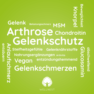 Gelenkschutz-Formel vegan mit pflanzlichem Chondroitin