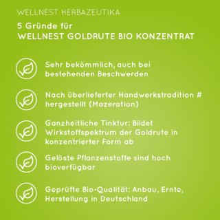 5 Gründe für Wellnest Goldruten Bio Konzentrat