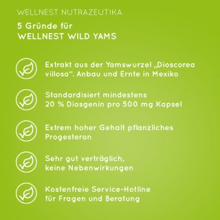 5 Gründe für Wellnest Wilde Yamswurzel Extrakt 500 mg