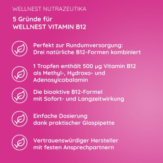 5 Gründe für Wellnest Vitamin B12 30 ml (630 vegane Tropfen)