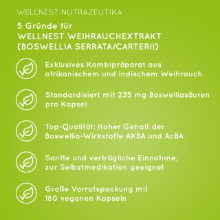 5 Gründe für Wellnest Weihrauchextrakt 300 mg (Boswellia serrata/carterii)