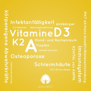 Keywordwolke Wellnest Vitamin-Trio A + D3 + K2 MK7 (750 vegane Tropfen)